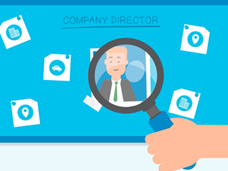 company director search