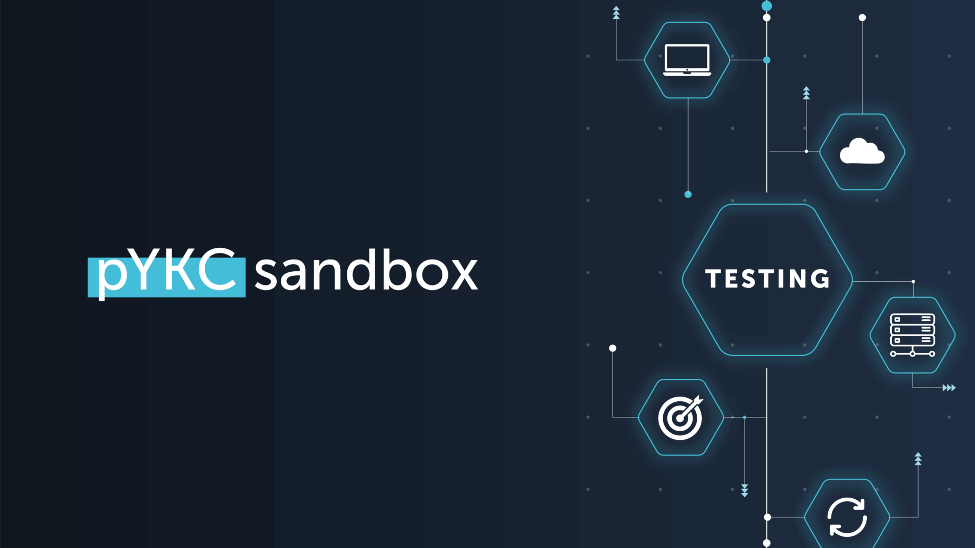 pKYC sandbox catalyst