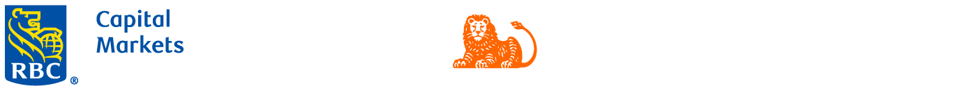 AI Webinar - Partners